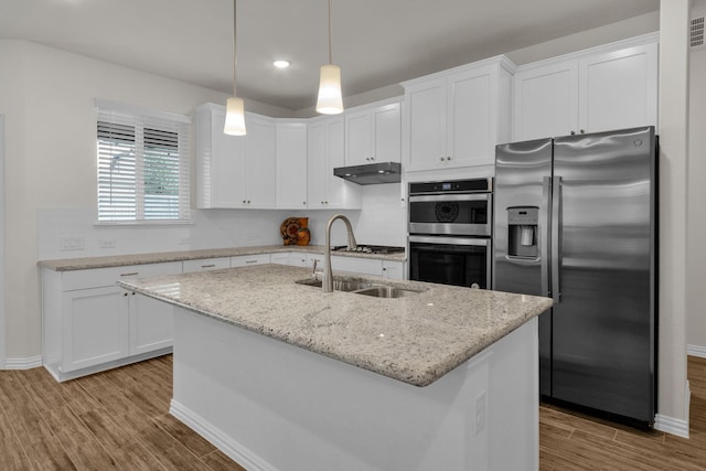 2420 Rooster Ln, Northlake, TX 76247 - kitchen featuring stainless steel appliances, a sink, light wood-style flooring, under cabinet range hood, and recessed lighting