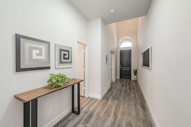 233 Honey Brook Ln, Aledo, TX 76008 - hall with light wood-style flooring, baseboards, and a towering ceiling