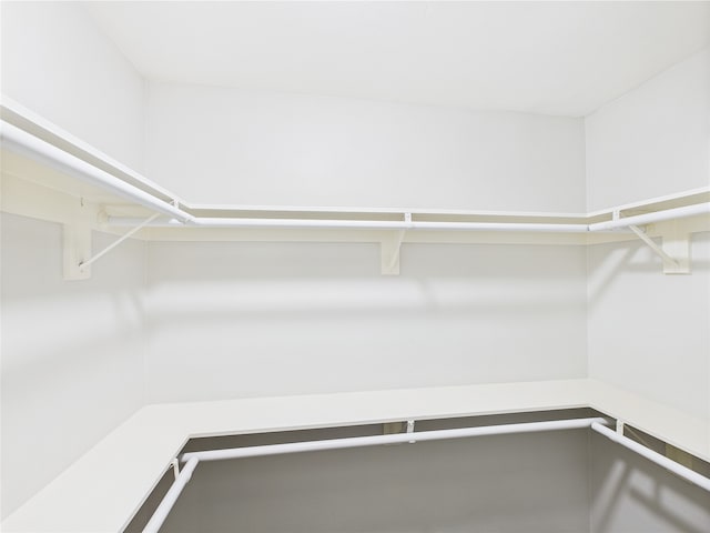 7323 Whispering Pines Dr, Dallas, TX 75248 - view of spacious closet