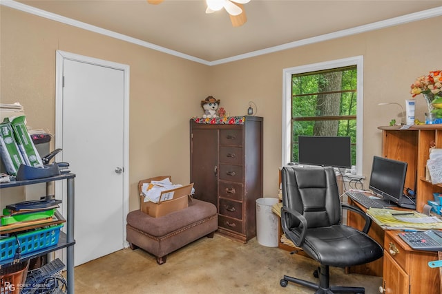 office featuring ceiling fan and crown molding
