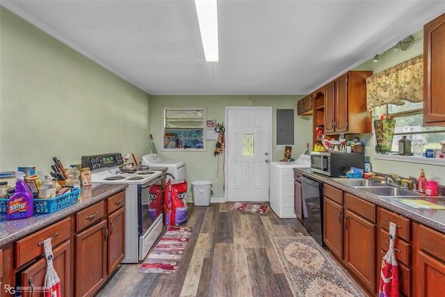 kitchen featuring stainless steel microwave, a sink, black dishwasher, dark wood finished floors, and electric panel