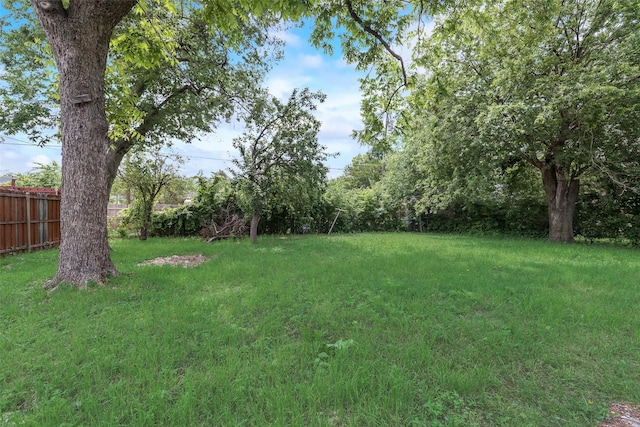 10166 San Lorenzo Dr, Dallas, TX 75228 - view of yard