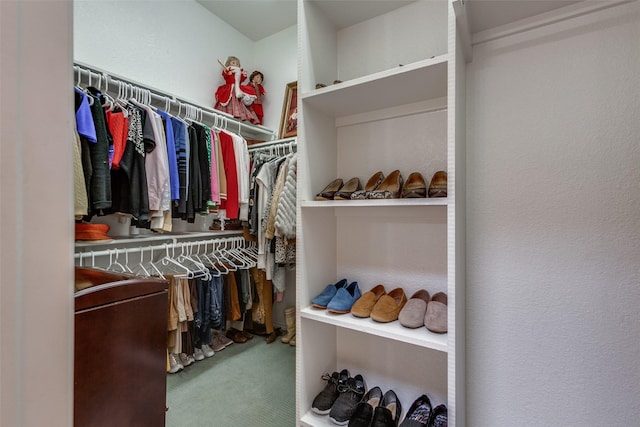 3671 Navarro Way, Frisco, TX 75034 - walk in closet with carpet floors
