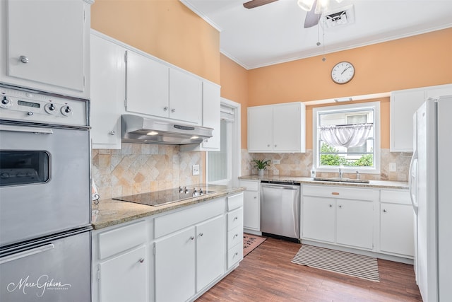 kitchen featuring stainless steel appliances, a sink, under cabinet range hood, crown molding, and tasteful backsplash