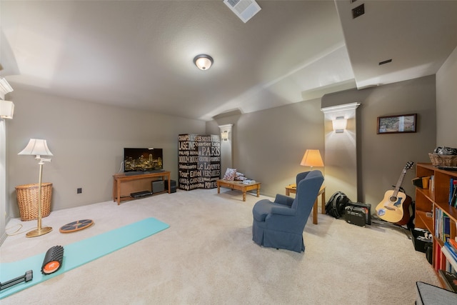8803 Kelvington Dr, Frisco, TX 75035 - living area featuring carpet flooring and vaulted ceiling