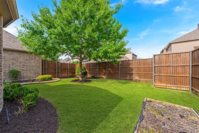 8803 Kelvington Dr, Frisco, TX 75035 - view of yard featuring a vegetable garden