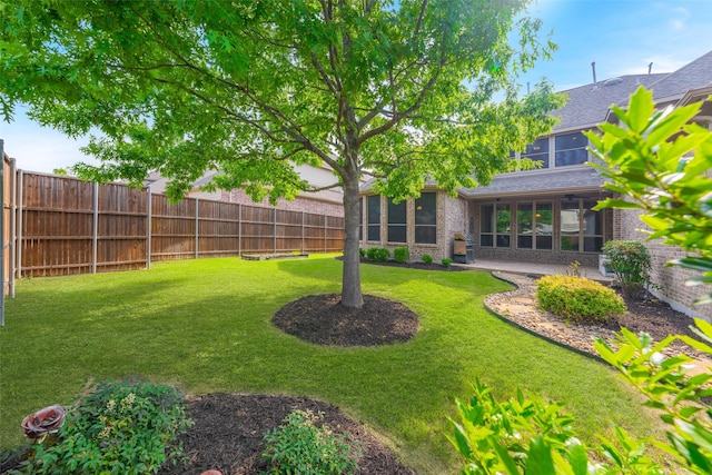 8803 Kelvington Dr, Frisco, TX 75035 - view of yard