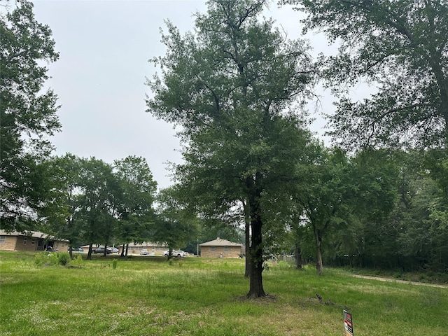0 Fielder St, Grand Saline, TX 75140