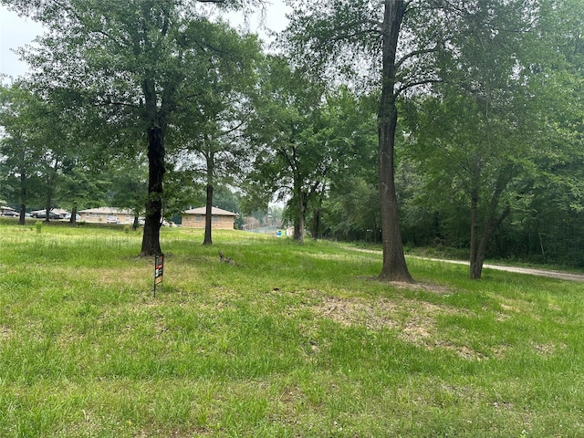 0 Fielder St, Grand Saline, TX 75140