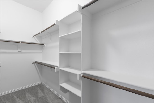 12198 Briargove Ln, Talty, TX 75126 - spacious closet featuring dark colored carpet