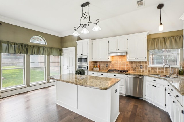 612 Christan Ct, Rockwall, TX 75087 - kitchen with stainless steel appliances, a sink, under cabinet range hood, and plenty of natural light