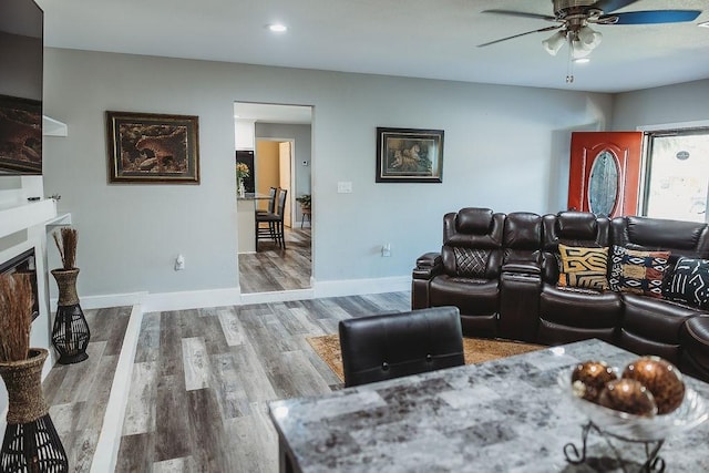 1313 E Turley St, Sherman, TX 75090 - living area featuring ceiling fan, wood finished floors, baseboards, recessed lighting, and a fireplace