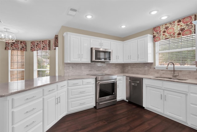 2103 Greenbrier St, Denison, TX 75020 - kitchen with stainless steel appliances, a sink, plenty of natural light, dark wood-type flooring, and recessed lighting