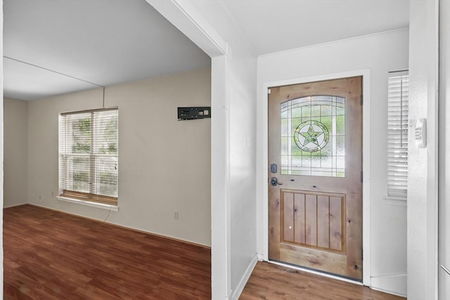 foyer featuring wood finished floors and healthy amount of natural light