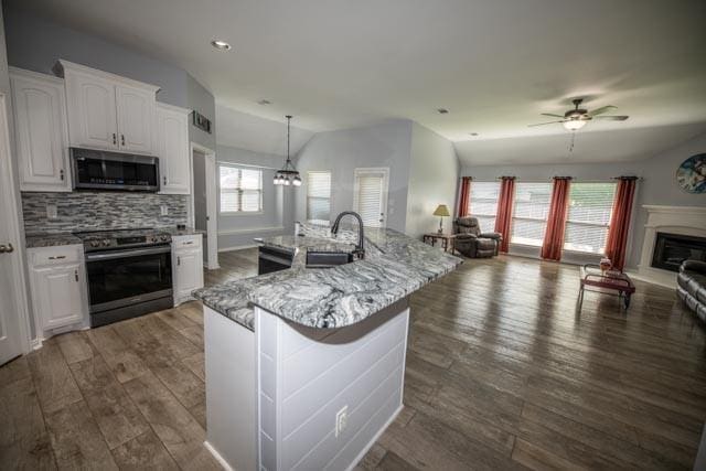 107 Harvest Way, Crandall, TX 75114 - kitchen featuring stainless steel appliances, a glass covered fireplace, open floor plan, a ceiling fan, and a sink