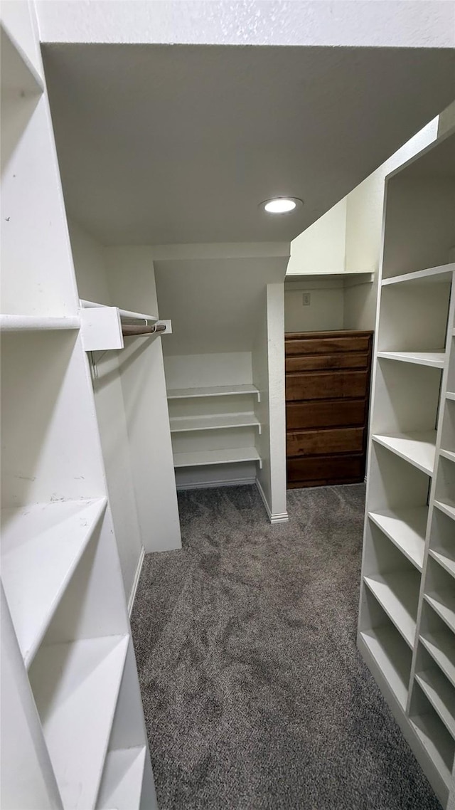 124 Heritage Pkwy W, Decatur, TX 76234 - spacious closet with dark colored carpet