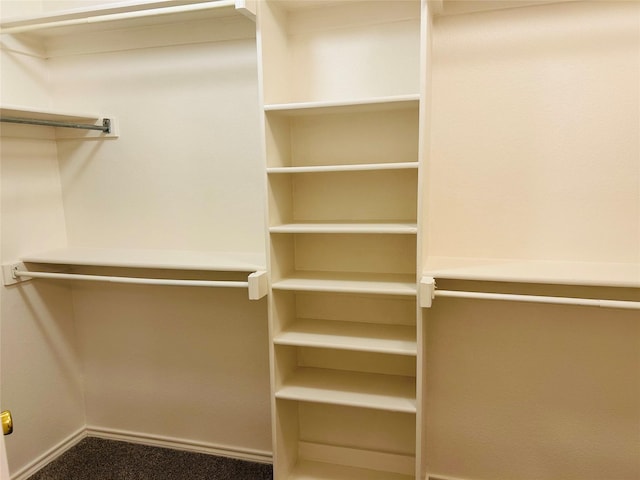601 Lawrence Ave, Terrell, TX 75160 - walk in closet with carpet