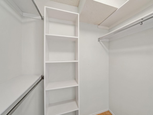 3920 Saint Christopher Ln, Dallas, TX 75287 - view of walk in closet