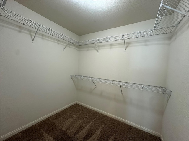 4601 Shy Creek Ln, Denton, TX 76207 - spacious closet with carpet floors
