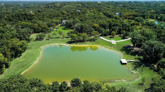 3325 Creek Rd, Keller, TX 76248 - bird's eye view of a large body of water and a heavily wooded area