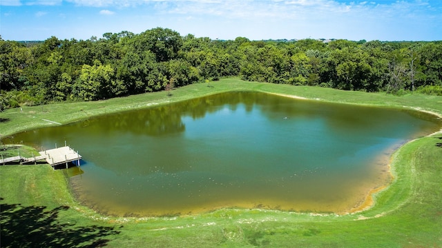 3325 Creek Rd, Keller, TX 76248 - water view featuring a dock and a forest