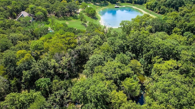 3325 Creek Rd, Keller, TX 76248 - aerial view of a nearby body of water and a heavily wooded area