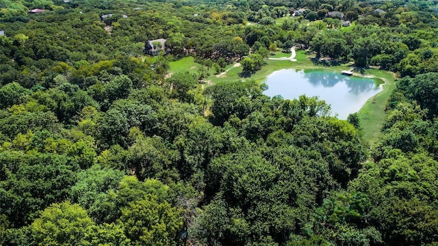 3325 Creek Rd, Keller, TX 76248 - aerial view of a large body of water and a heavily wooded area
