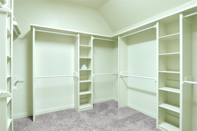 6805 Castle Pines Ct, Tyler, TX 75703 - spacious closet with carpet and lofted ceiling