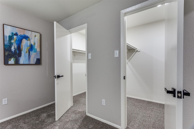 walk in closet with carpet floors