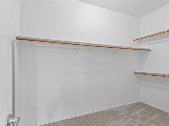 7404 Sunray Dr, Fort Worth, TX 76120 - spacious closet featuring carpet flooring
