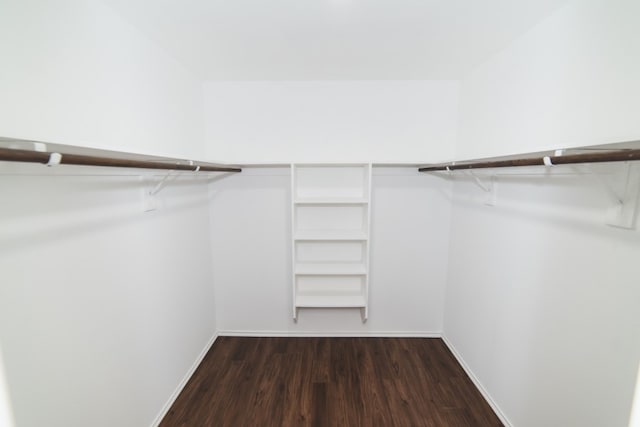2105 Meadow View Dr, Princeton, TX 75407 - spacious closet with dark wood finished floors