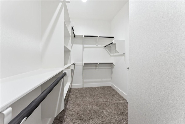 1903 Varsity Dr, Grand Prairie, TX 75051 - walk in closet featuring carpet