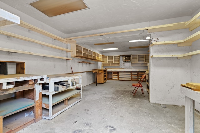 below grade area with a workshop area