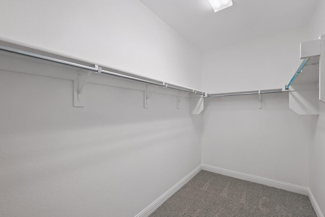 9808 Denali Dr, Little Elm, TX 75068 - spacious closet with carpet floors