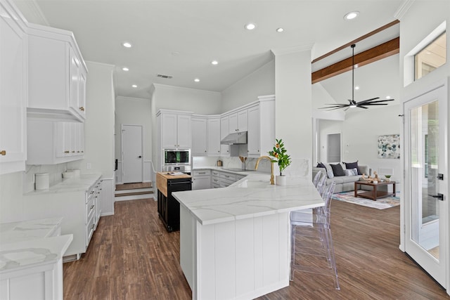 2109 Greta Ln, Fort Worth, TX 76120 - kitchen featuring under cabinet range hood, ornamental molding, a ceiling fan, a peninsula, and light stone countertops