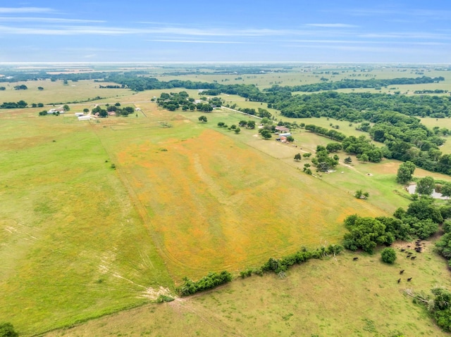 6199 State Highway 22, Hillsboro, TX 76645 - aerial view of sparsely populated area