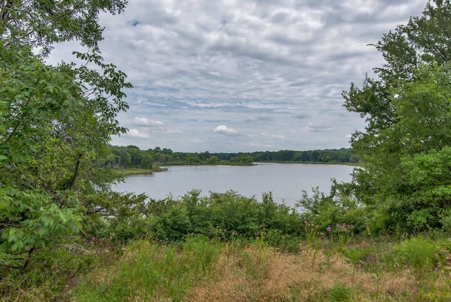 412 Lee Blvd, Pottsboro, TX 75076 - water view featuring a forest
