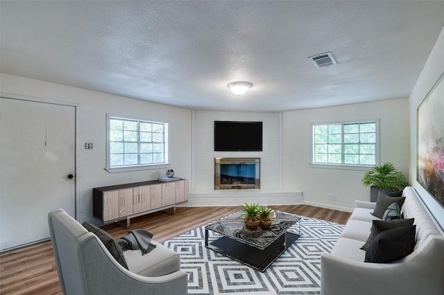 1104 Cortez St, Denison, TX 75020 - living room featuring healthy amount of natural light, wood finished floors, a glass covered fireplace, and a textured ceiling
