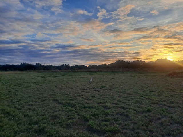 132 Pine Springs Cv, Tuscola, TX 79562 - view of grassy yard with a view of countryside