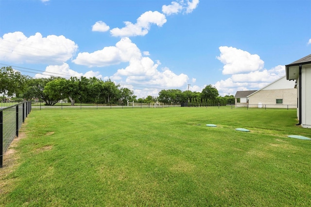 1511 Horseshoe Ct, Justin, TX 76247 - view of yard