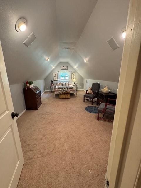 255 Chaparrals Run, Azle, TX 76020 - bedroom with carpet and vaulted ceiling