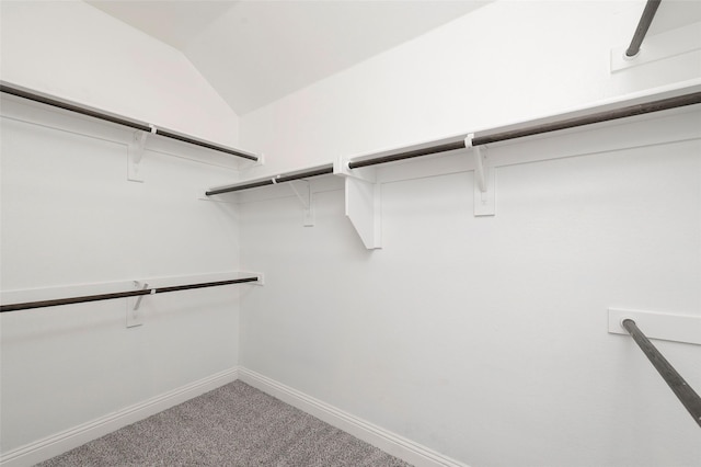4142 Perch Dr, Forney, TX 75126 - spacious closet featuring carpet flooring and lofted ceiling