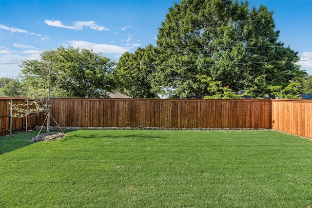 7107 Manhattan Dr, Rowlett, TX 75088 - view of yard