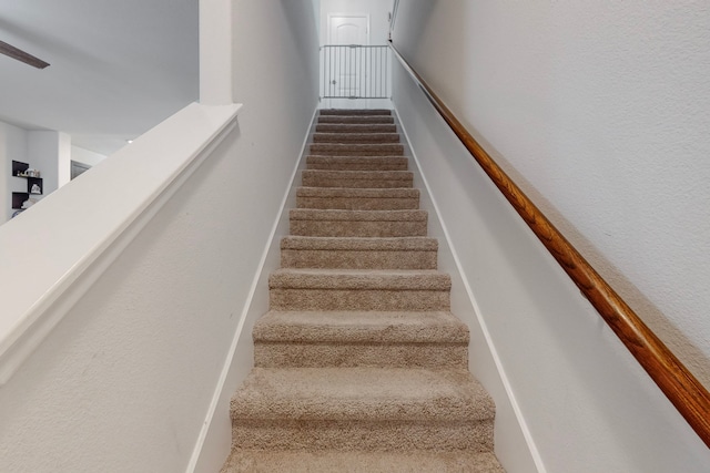 7448 Crossfire Trl, Fort Worth, TX 76112 - staircase featuring carpet