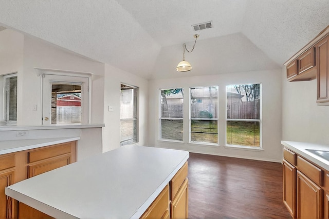 232 Cotton Wood Ct, Rockwall, TX 75032 - kitchen featuring vaulted ceiling, healthy amount of natural light, light countertops, dark wood finished floors, and brown cabinetry