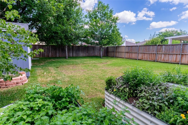 view of yard