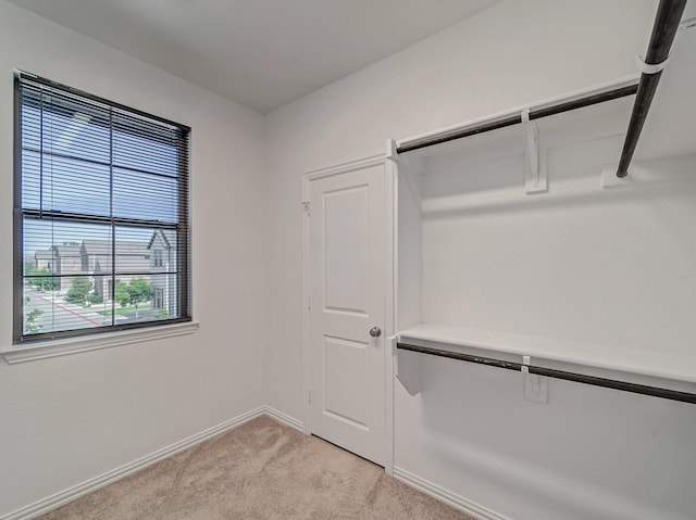 240 Harper St, Irving, TX 75063 - walk in closet with light carpet