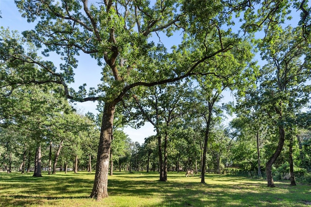710 Eagles Landing Blvd, Oak Point, TX 75068 - view of property's community with a lawn