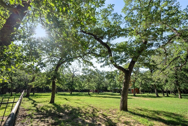 710 Eagles Landing Blvd, Oak Point, TX 75068 - view of yard