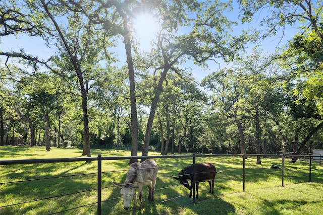 710 Eagles Landing Blvd, Oak Point, TX 75068 - view of yard